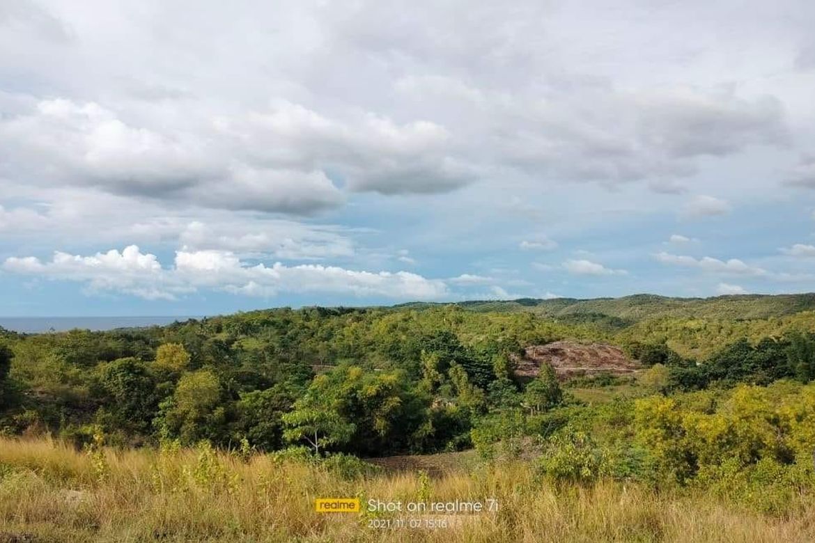 Land for Sale in Tabunok, Tabuelan, Cebu – photo 7