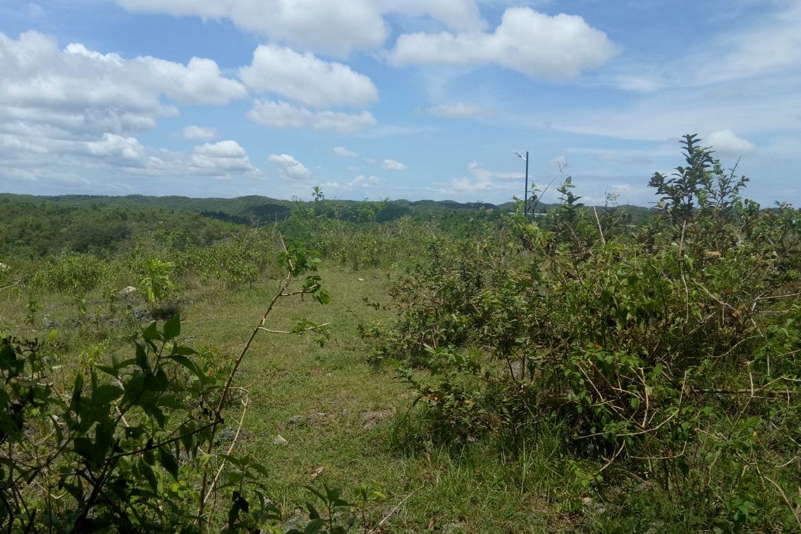 Land for Sale in Tabunok, Tabuelan, Cebu – photo 8