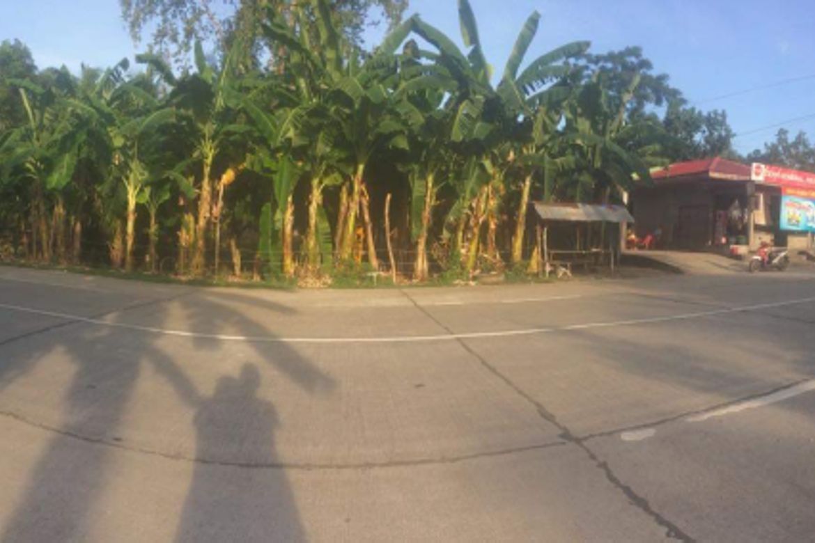 Land for Sale in Tabunok, Tabuelan, Cebu – photo 6
