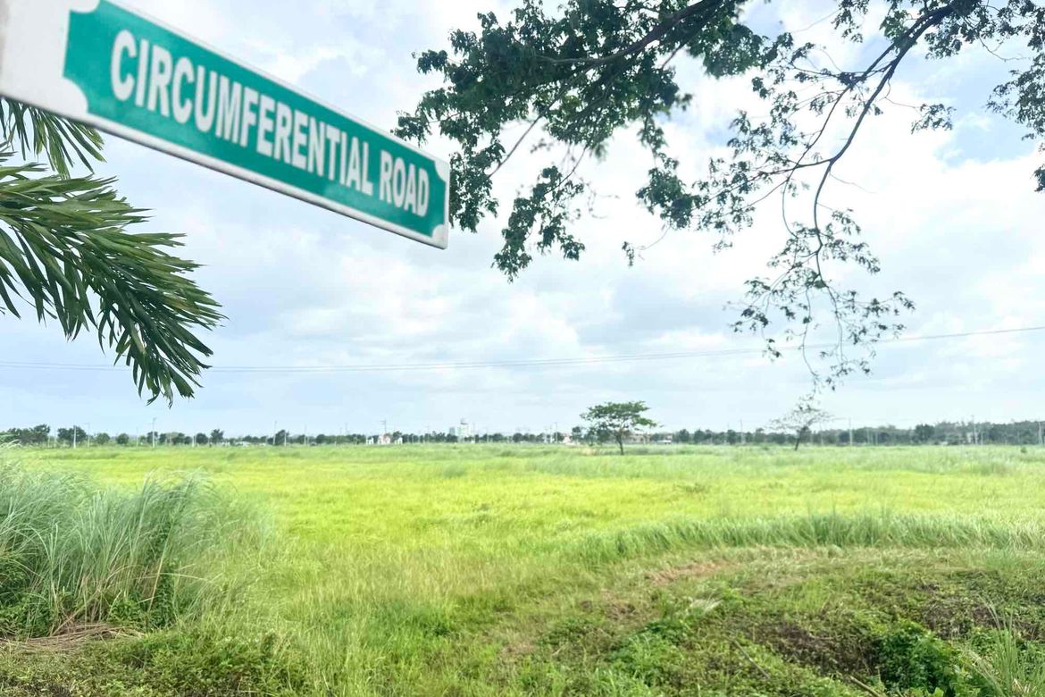 Land for Sale in Tacas, Iloilo City, Iloilo – photo 8