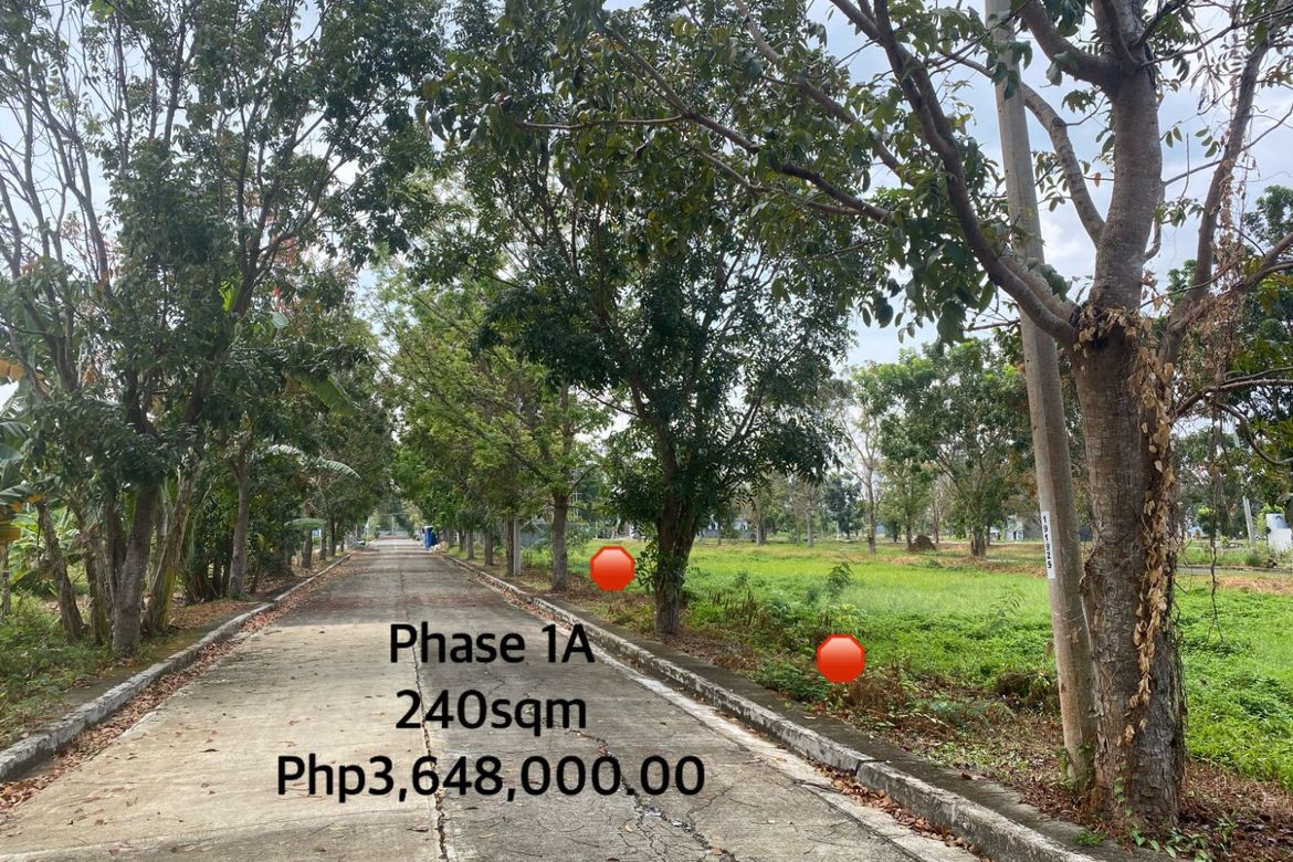 Land for Sale in Tacas, Iloilo City, Iloilo