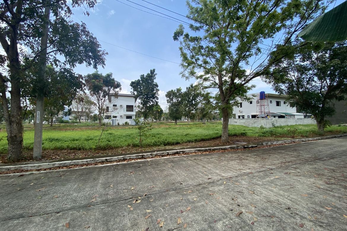 Land for Sale in Tacas, Iloilo City, Iloilo – photo 3