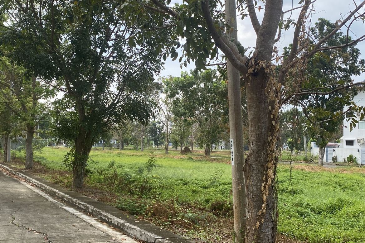 Land for Sale in Tacas, Iloilo City, Iloilo – photo 7