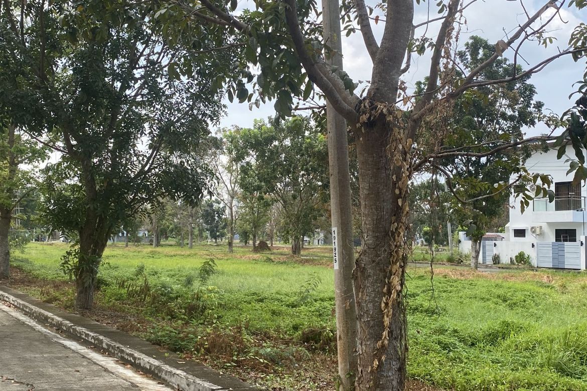 Land for Sale in Tacas, Iloilo City, Iloilo – photo 8