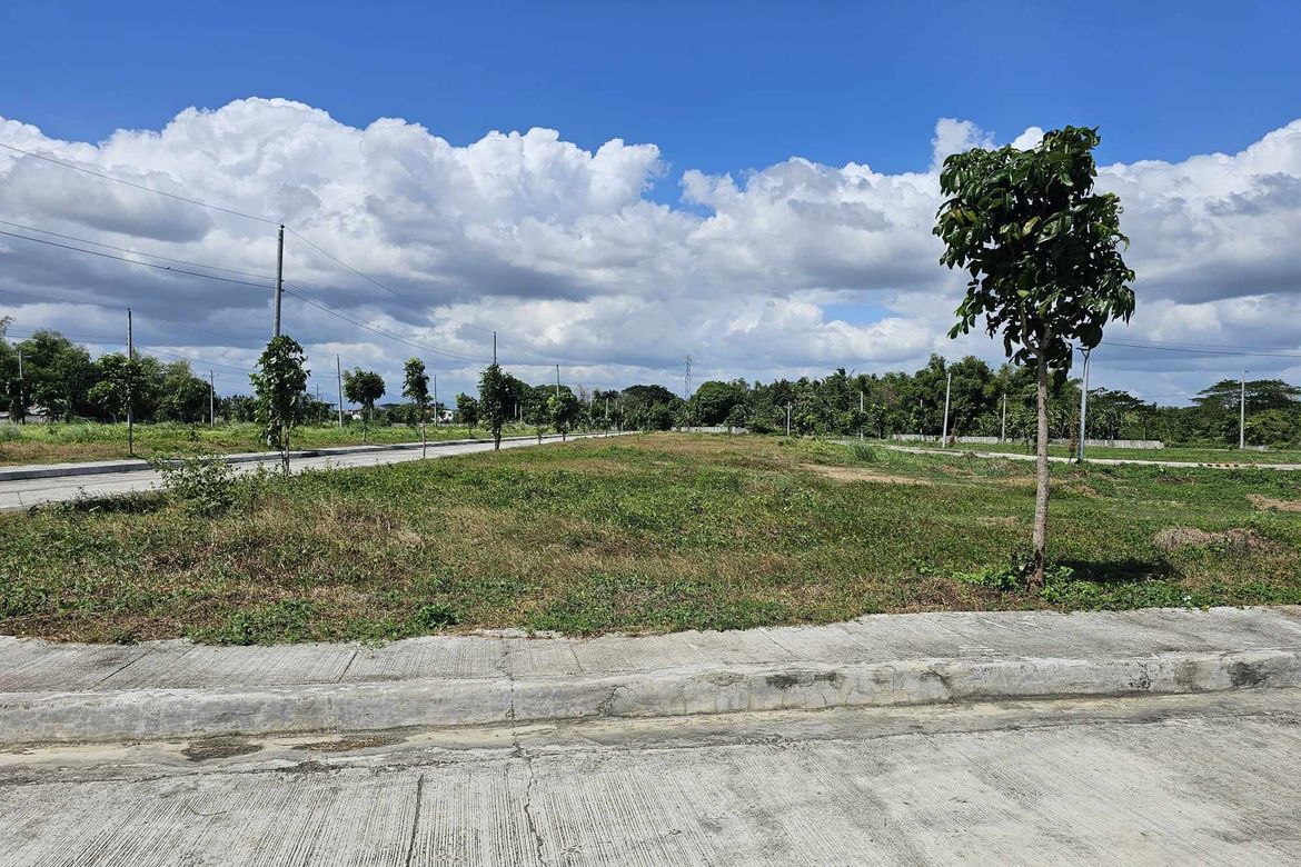 Land for Sale in Tacas, Iloilo City, Iloilo – photo 5