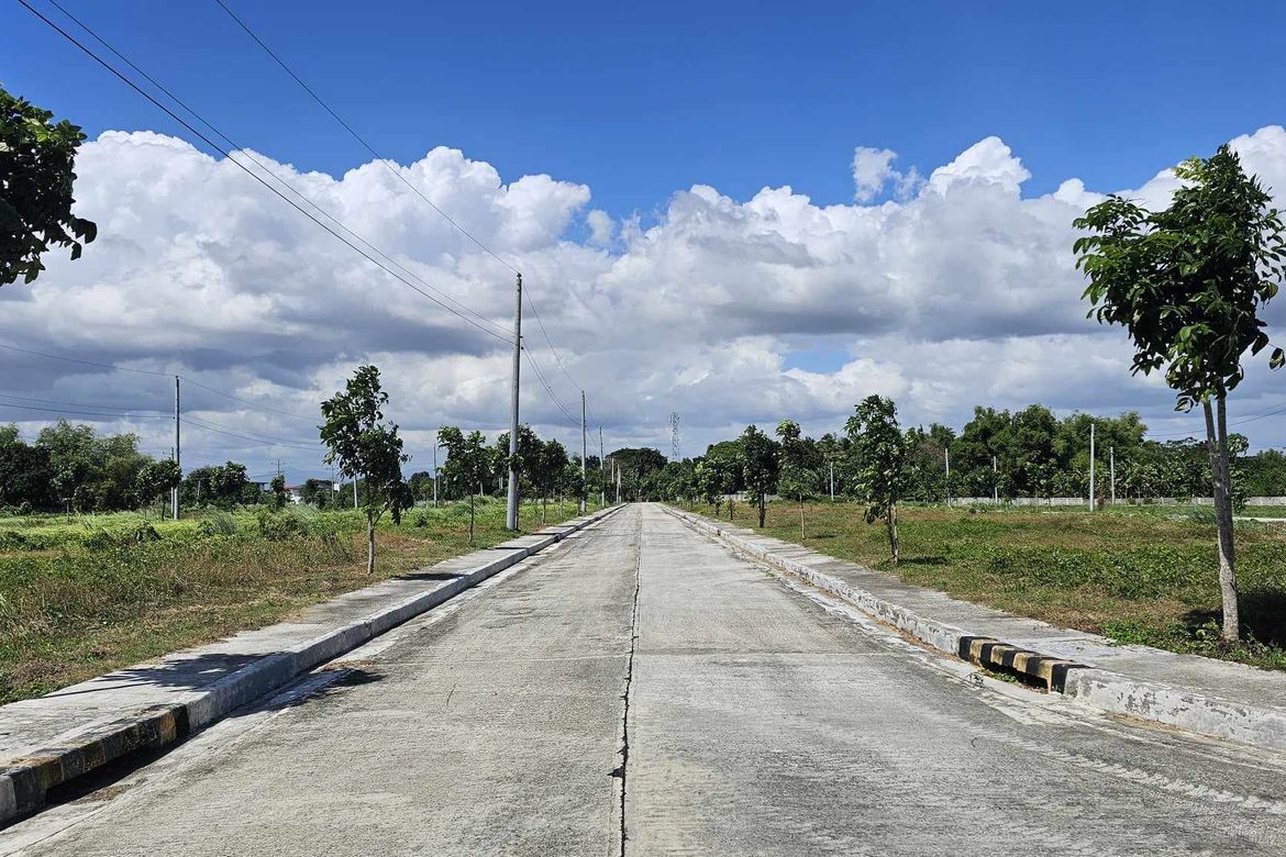 Land for Sale in Tacas, Iloilo City, Iloilo – photo 6