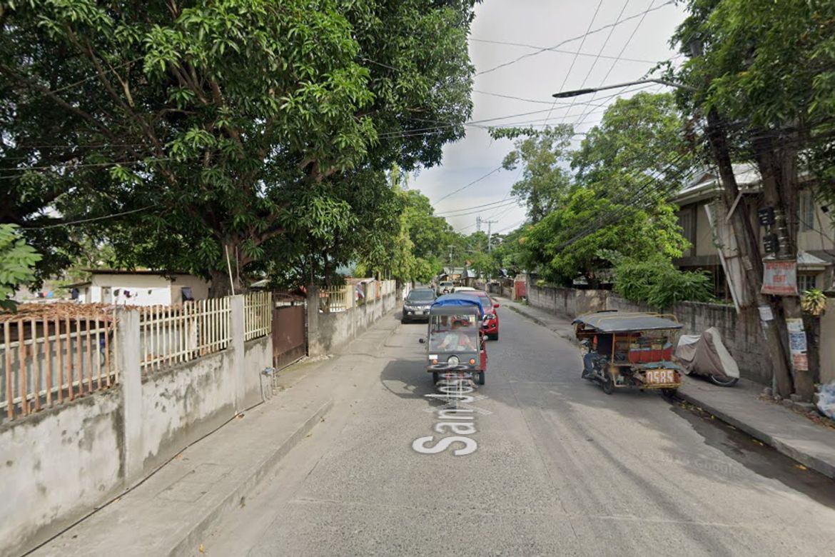 Land for Sale in Taclobo, Dumaguete, Negros Oriental – photo 2