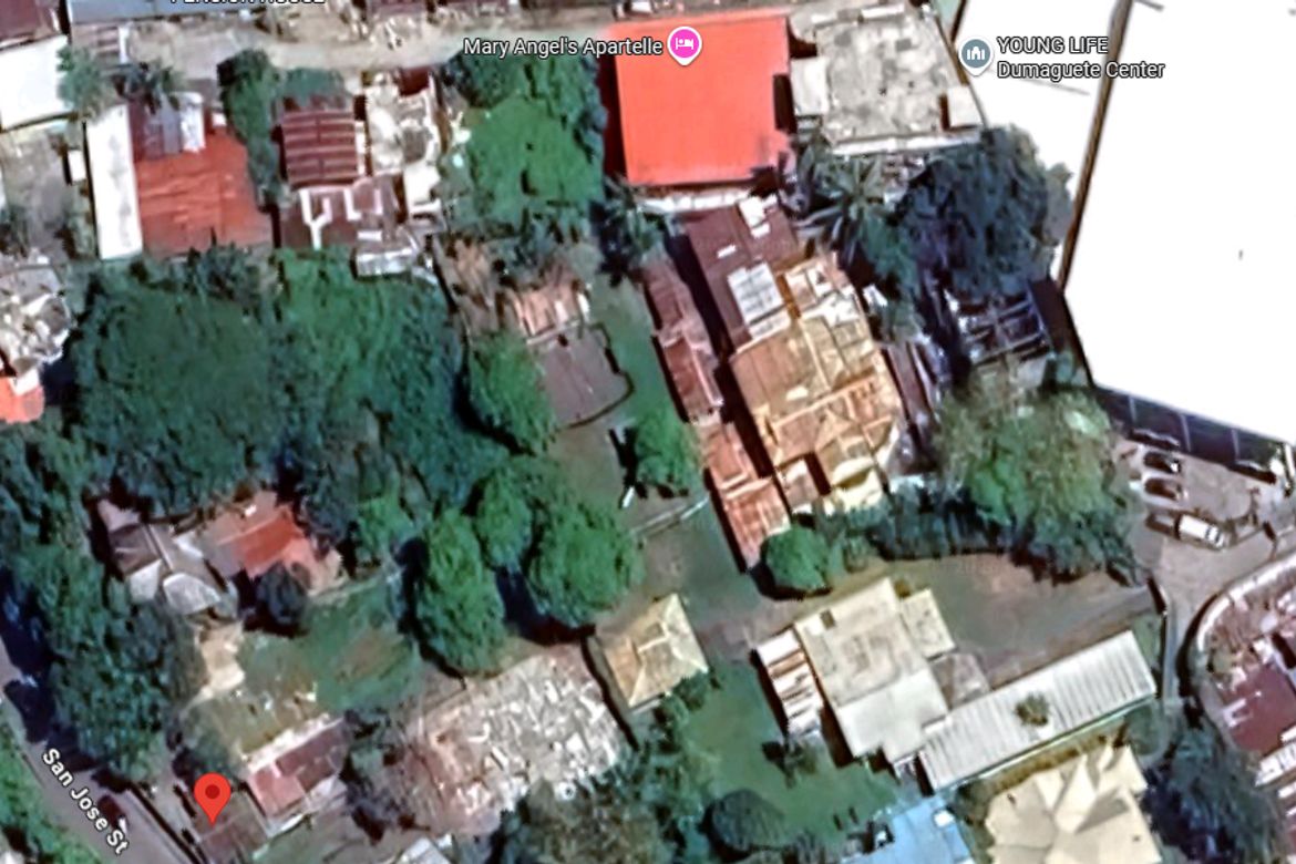 Land for Sale in Taclobo, Dumaguete, Negros Oriental – photo 3