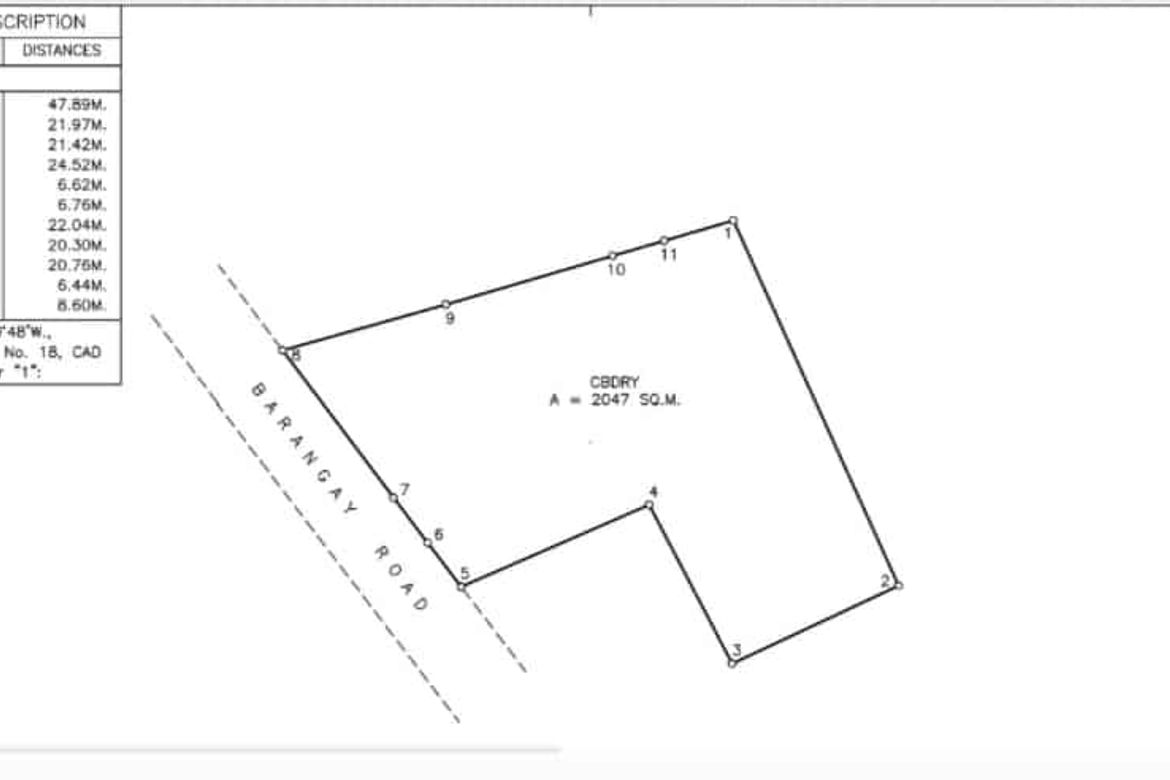 Land for Sale in Taclobo, Dumaguete, Negros Oriental – photo 4