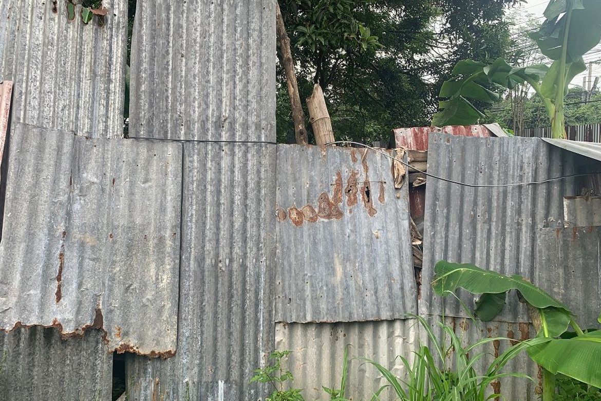 Land for Sale in Taclobo, Dumaguete, Negros Oriental – photo 2