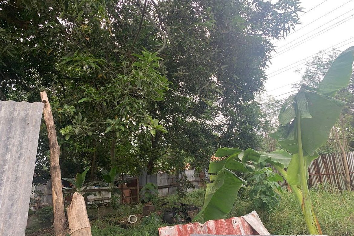 Land for Sale in Taclobo, Dumaguete, Negros Oriental – photo 3