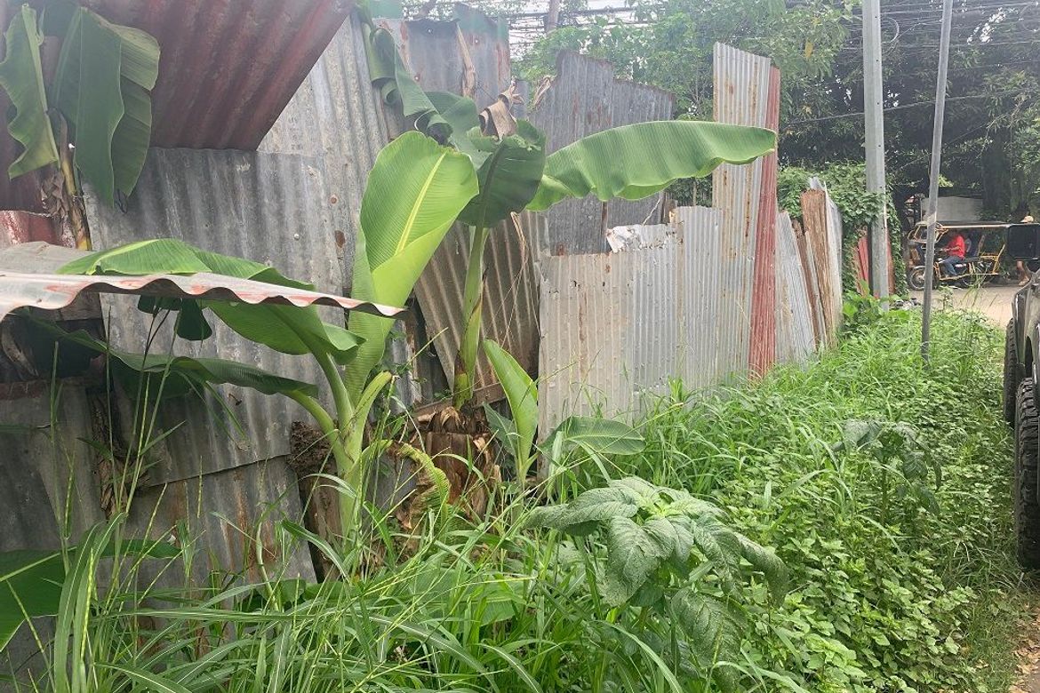 Land for Sale in Taclobo, Dumaguete, Negros Oriental – photo 5