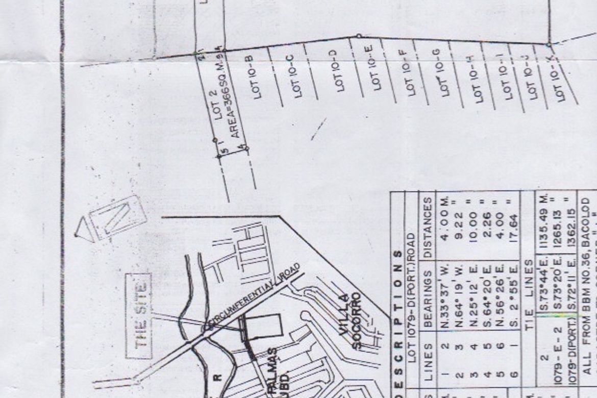 Land for Sale in Taculing, Bacolod, Negros Occidental – photo 4