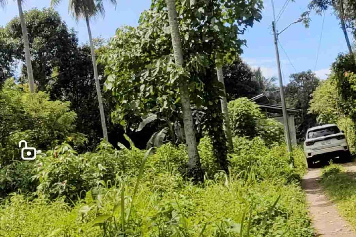 Land for Sale in Tacunan, Davao City, Davao del Sur – photo 4