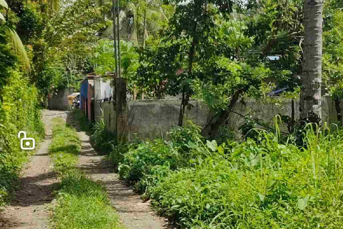Land for Sale in Tacunan, Davao City, Davao del Sur – photo 5