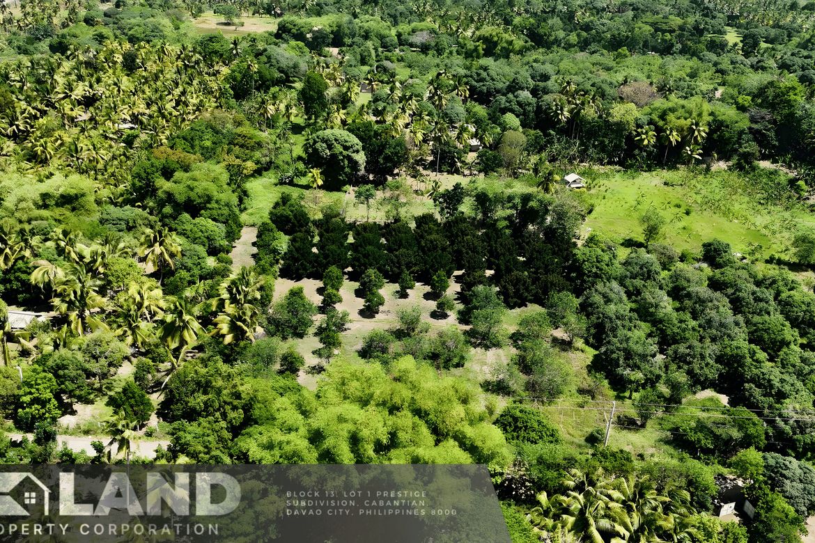 Land for Sale in Tacunan, Davao City, Davao del Sur – photo 2
