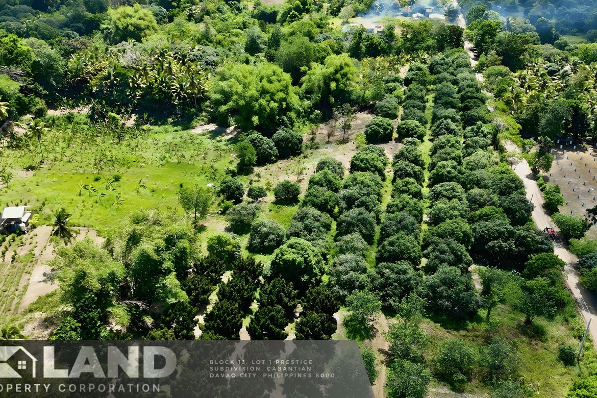 Land for Sale in Tacunan, Davao City, Davao del Sur – photo 3