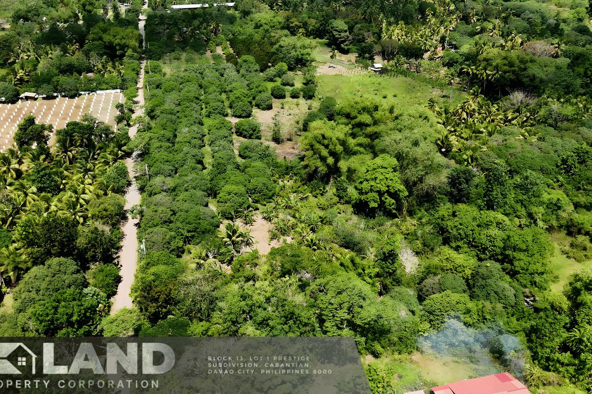 Land for Sale in Tacunan, Davao City, Davao del Sur – photo 4