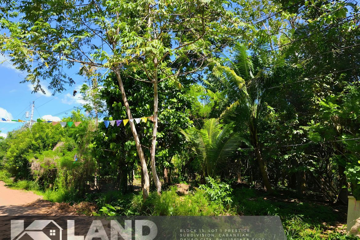 Land for Sale in Tacunan, Davao City, Davao del Sur – photo 5