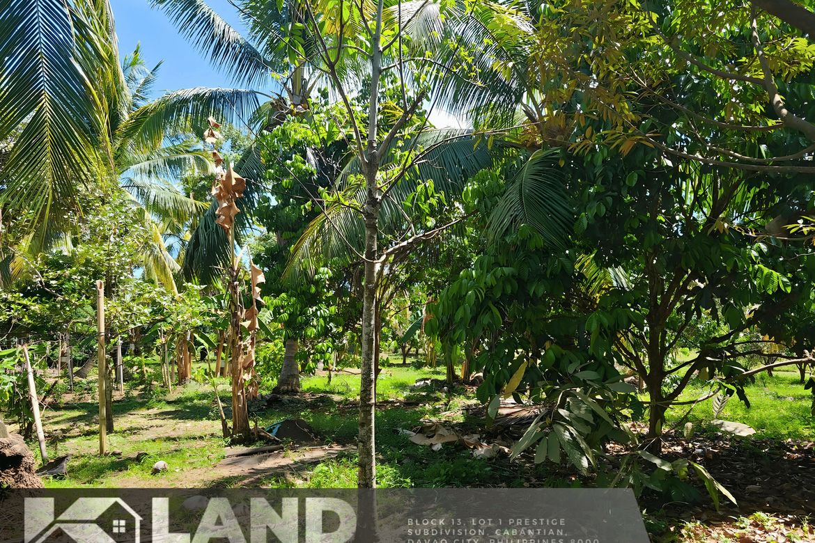 Land for Sale in Tacunan, Davao City, Davao del Sur – photo 6