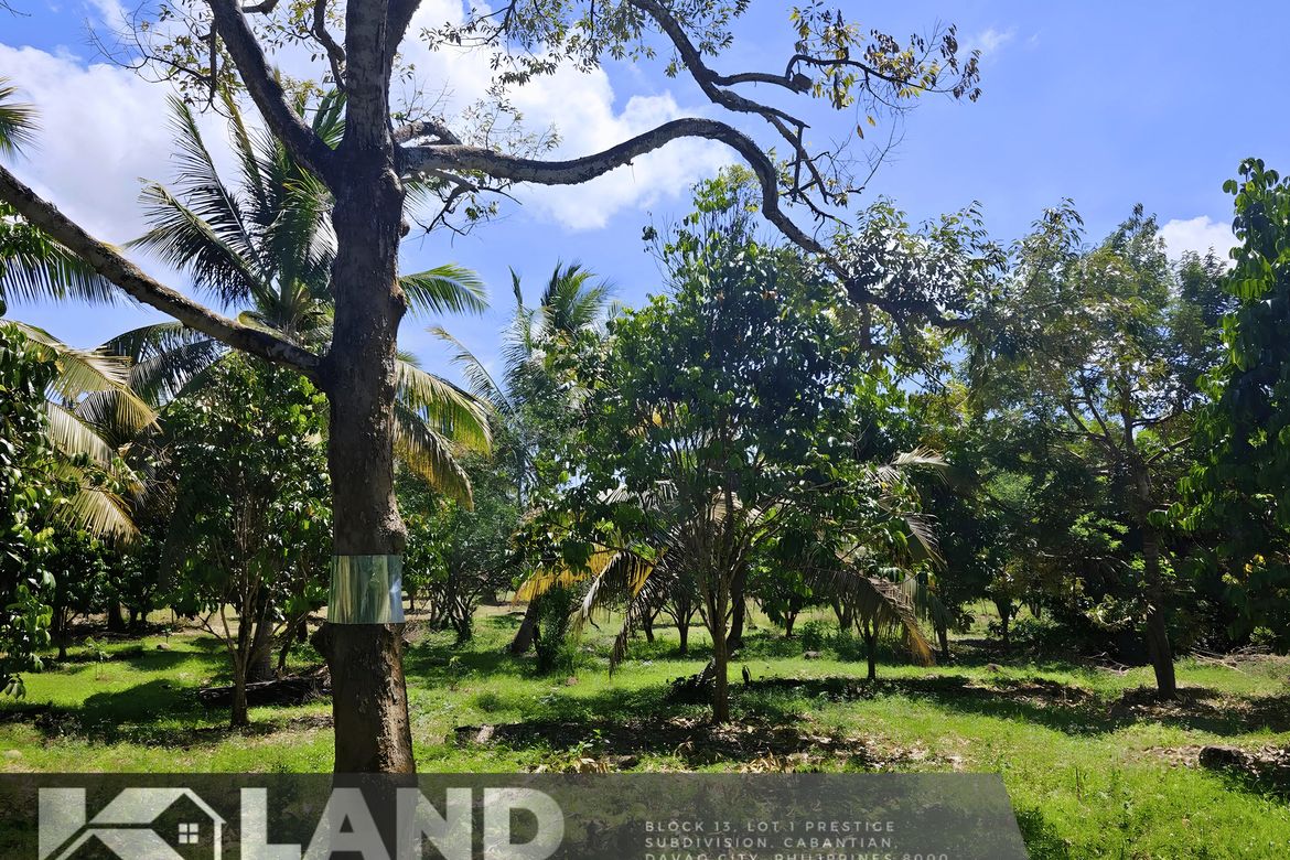 Land for Sale in Tacunan, Davao City, Davao del Sur – photo 7