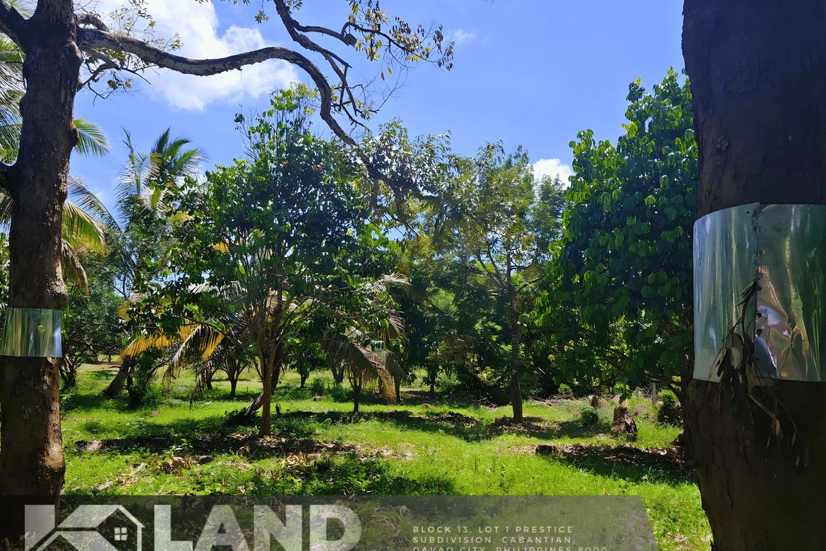 Land for Sale in Tacunan, Davao City, Davao del Sur – photo 8