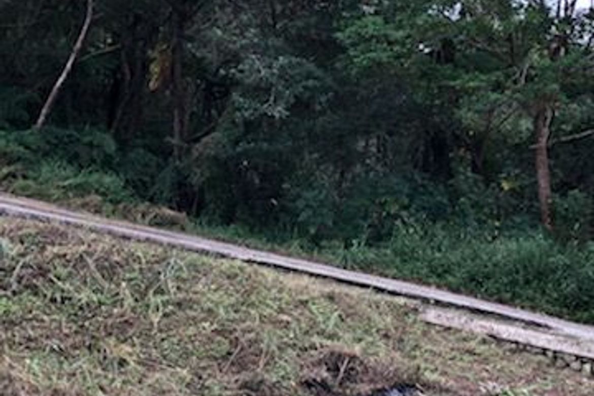 Land for Sale in Tadiangan, Tuba, Benguet