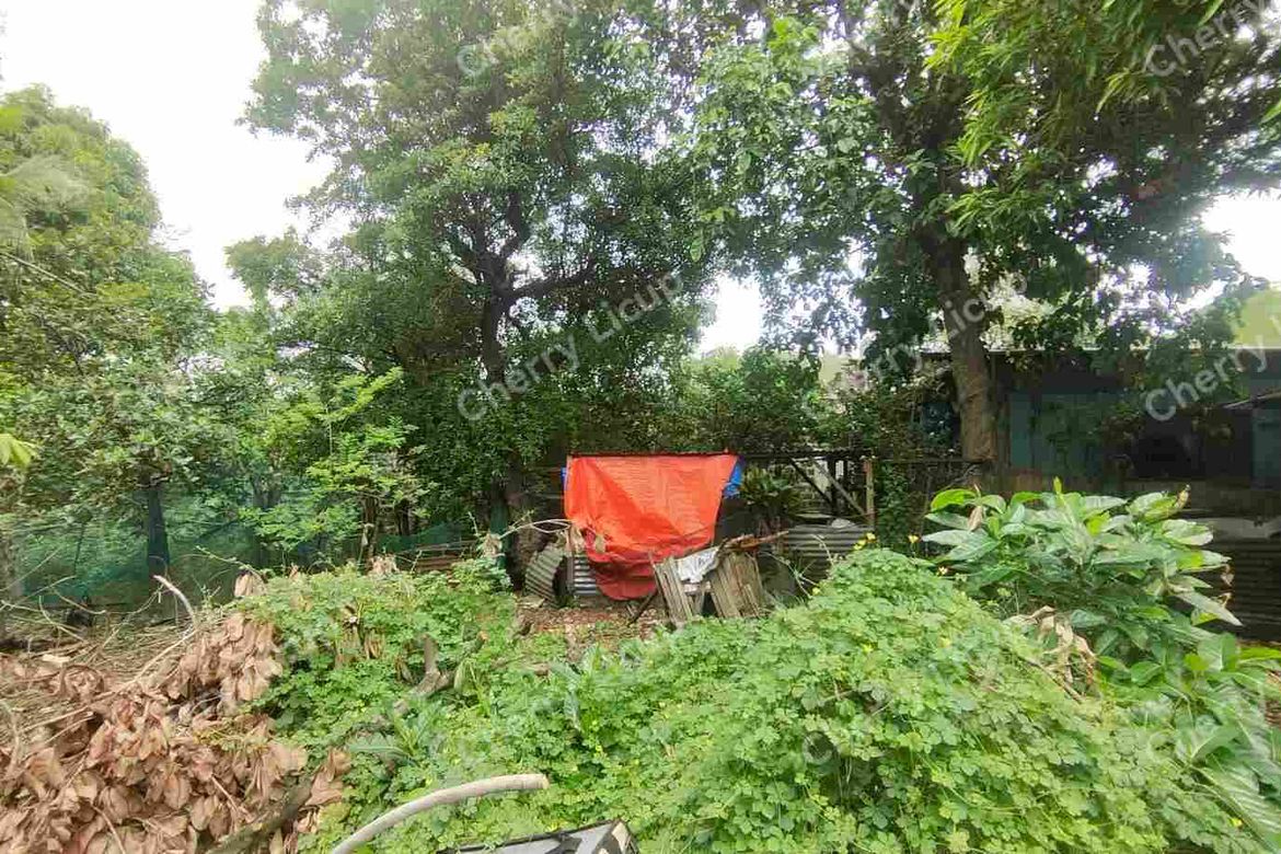 Land for Sale in Tagalag, Valenzuela, Metro Manila – photo 2