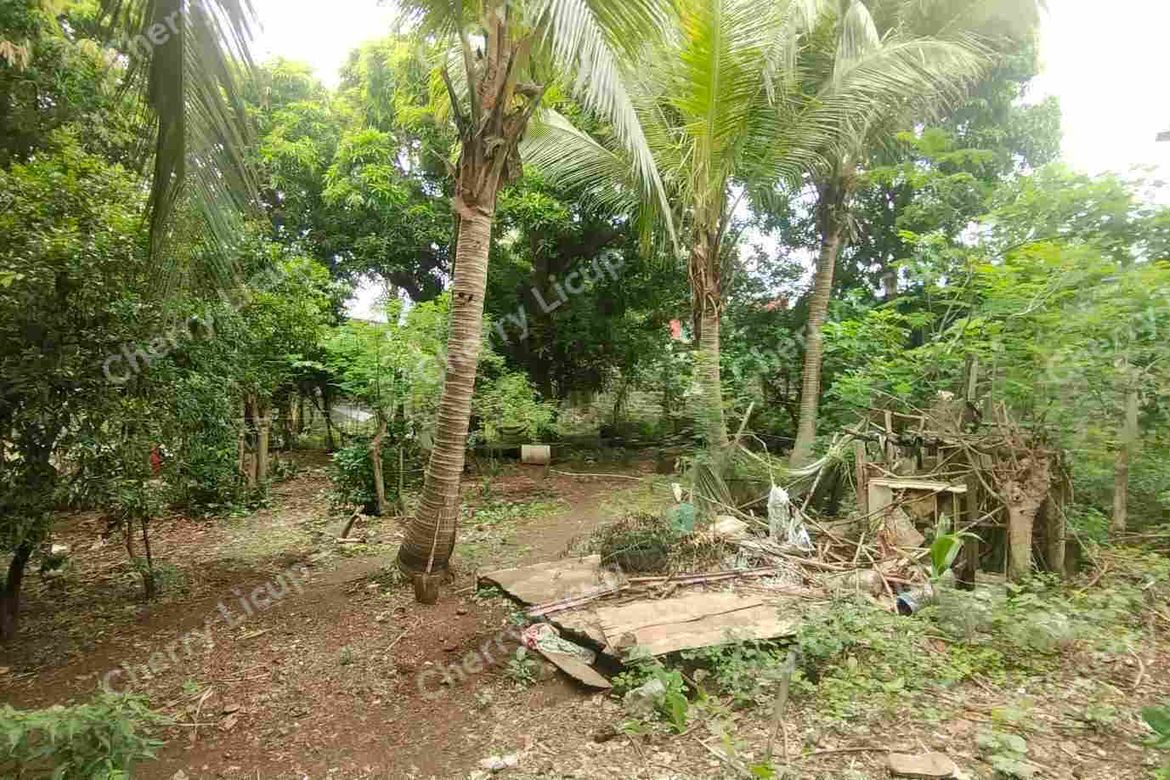 Land for Sale in Tagalag, Valenzuela, Metro Manila – photo 4