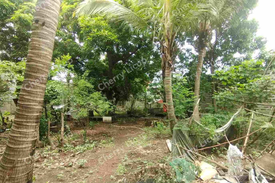 Land for Sale in Tagalag, Valenzuela, Metro Manila – photo 8