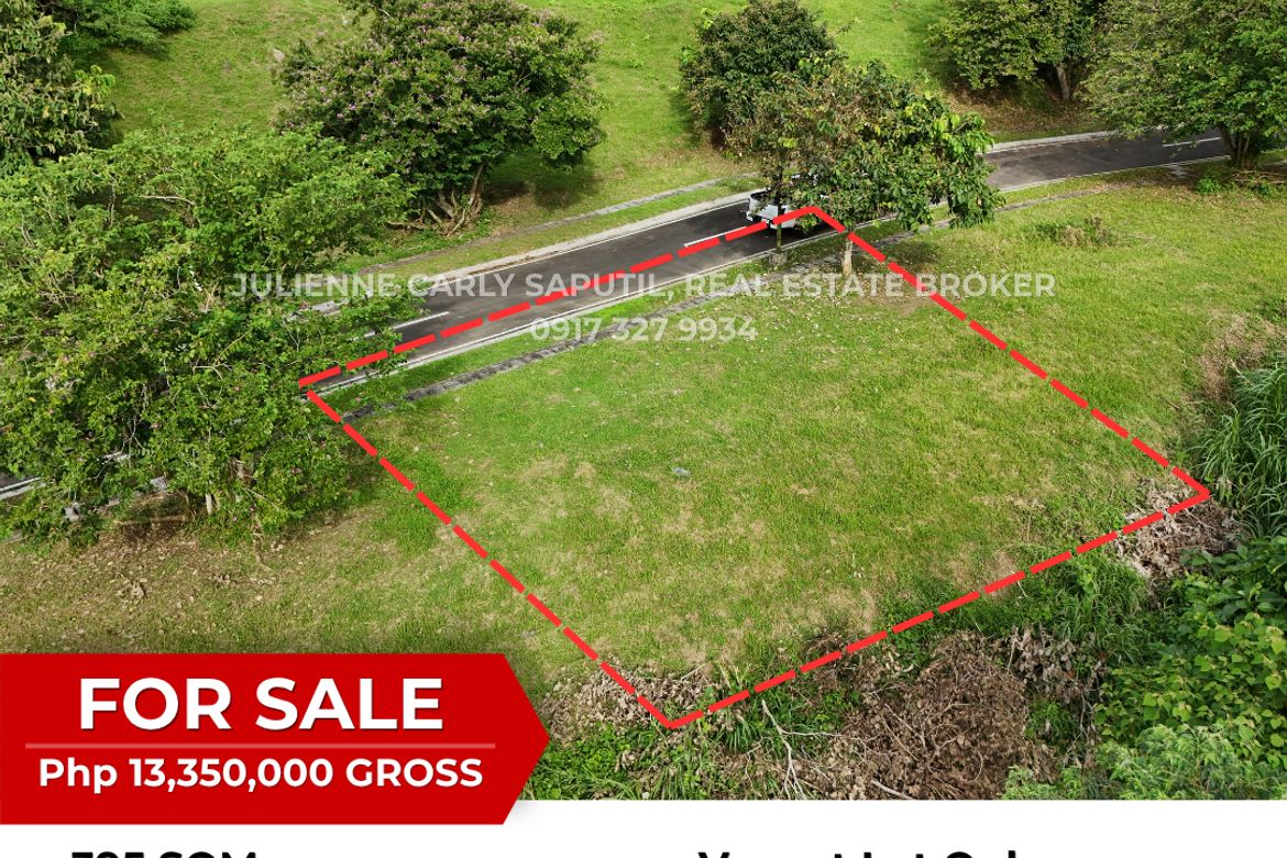 Land for Sale in Tagaytay Highlands, Iruhin East, Tagaytay, Cavite – photo 2