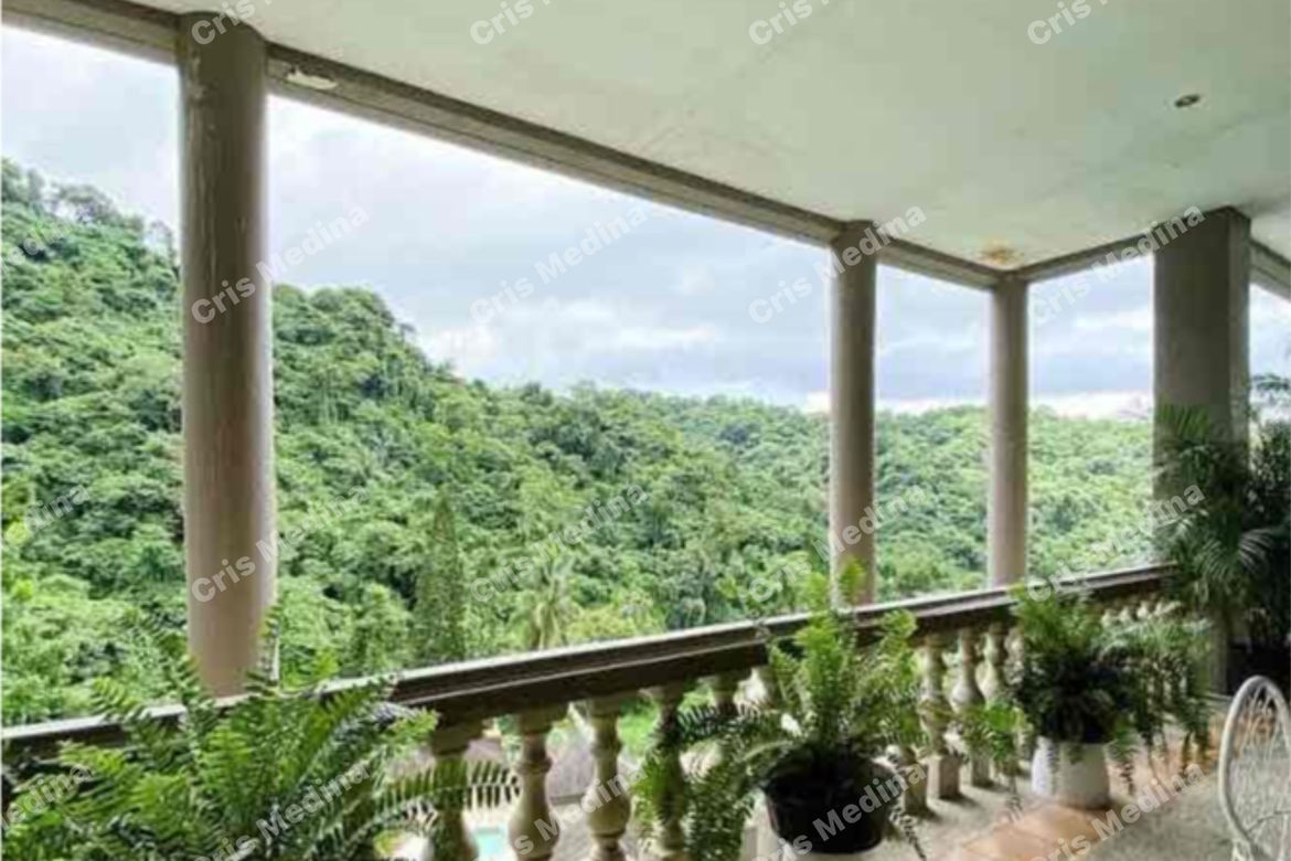 Land for Sale in Tagaytay Monte Vista, Sungay North, Tagaytay, Cavite – photo 4