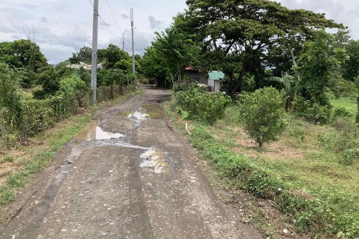 Land for Sale in Tagbakin, Tiaong, Quezon – photo 2
