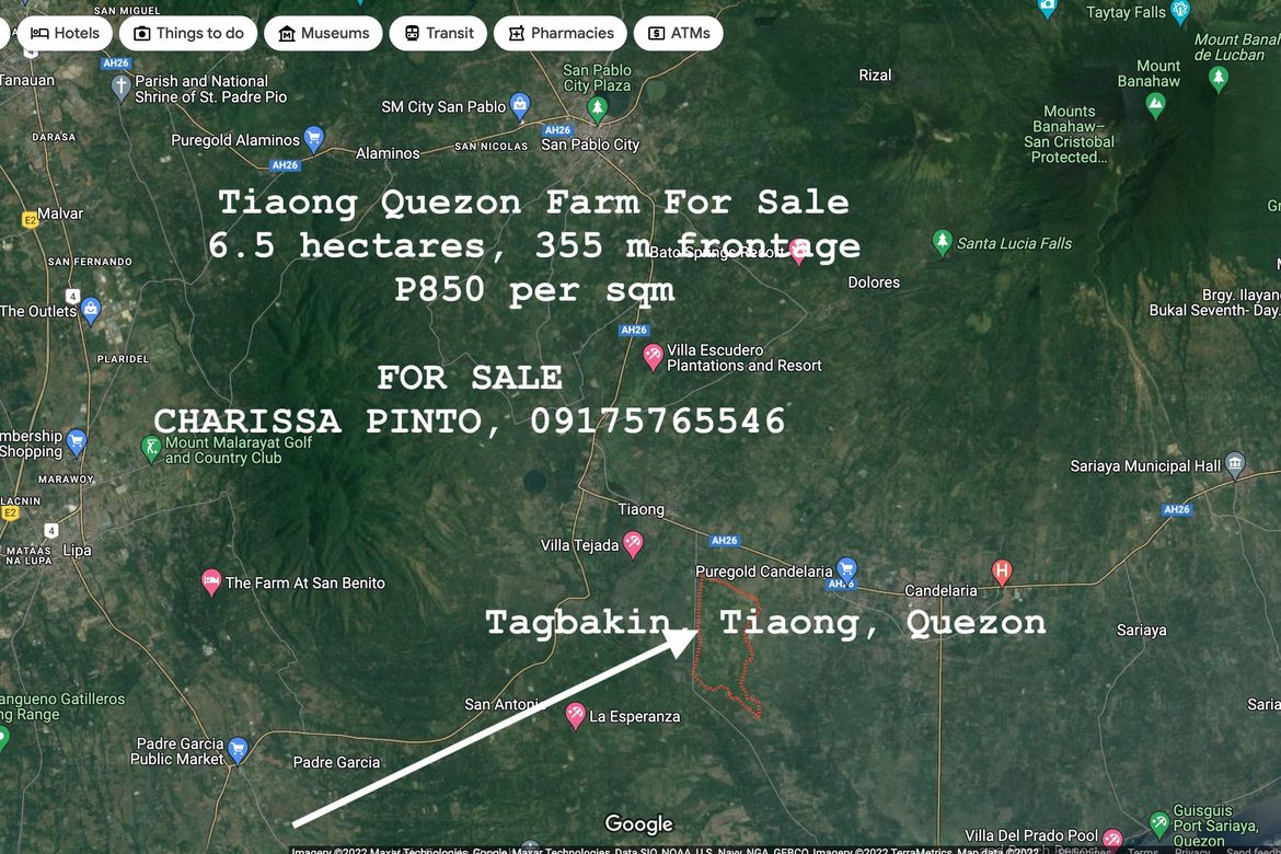 Land for Sale in Tagbakin, Tiaong, Quezon – photo 3