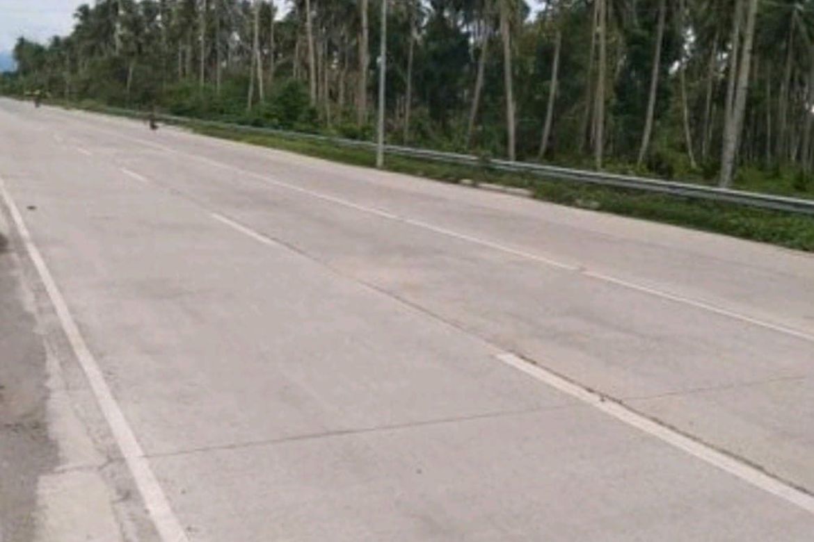 Land for Sale in Tagbaobo, Samal, Davao del Norte – photo 2