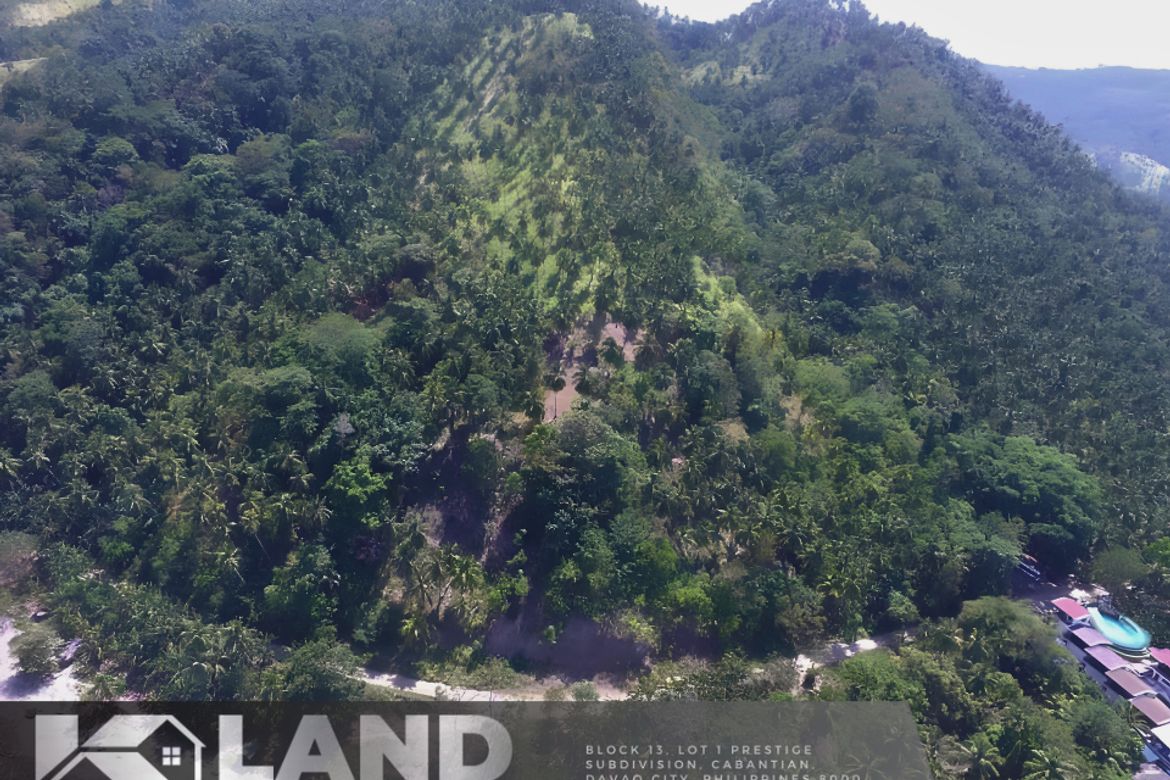 Land for Sale in Tagbaobo, Samal, Davao del Norte – photo 4