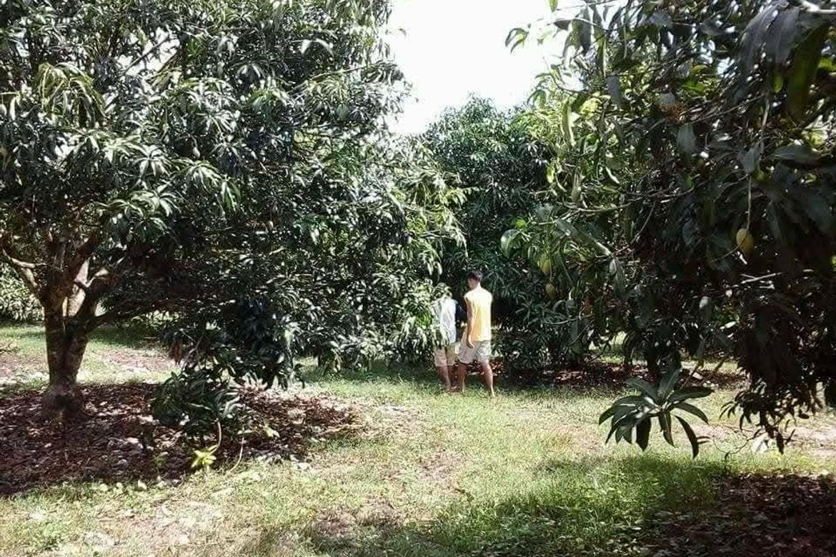 Land for Sale in Tagbay, Samal, Davao del Norte – photo 3