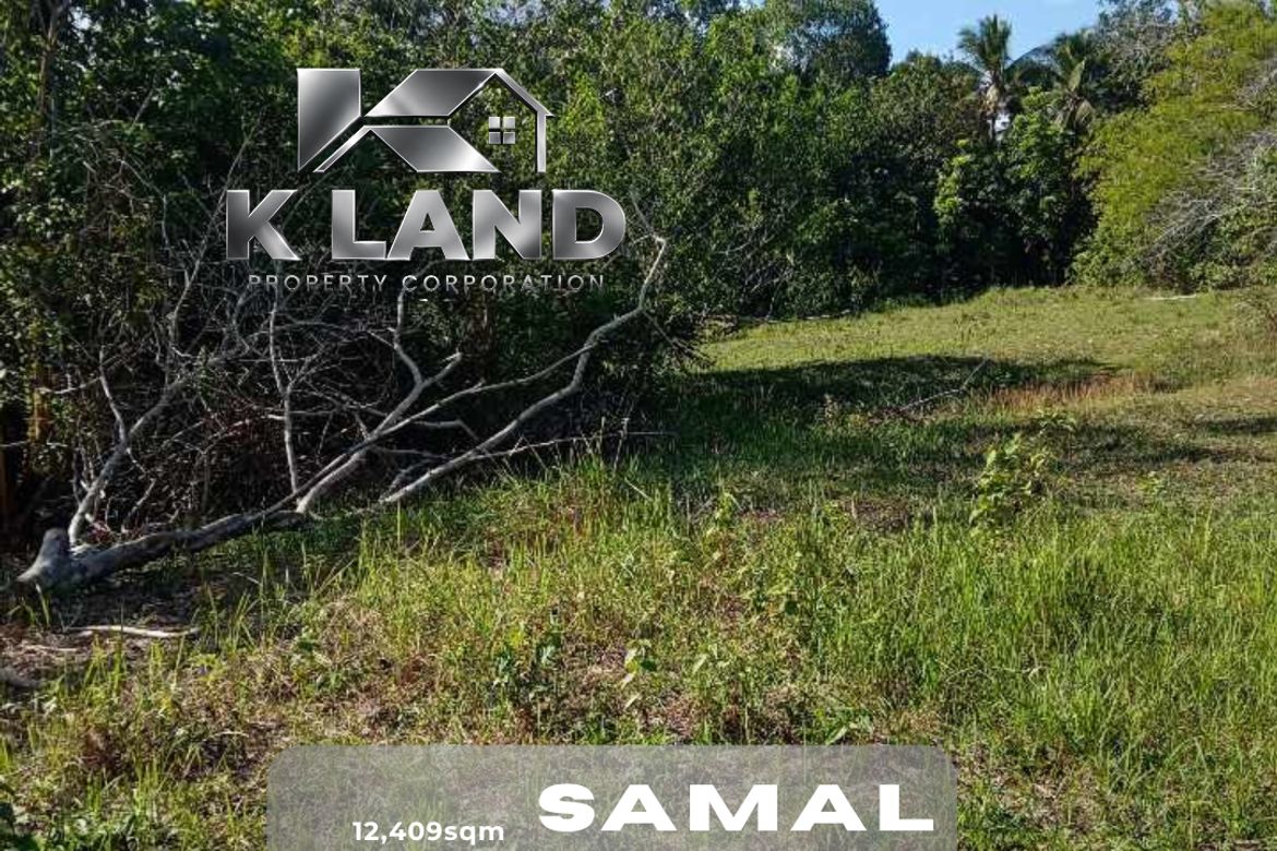 Land for Sale in Tagbitan-Ag, Samal, Davao del Norte