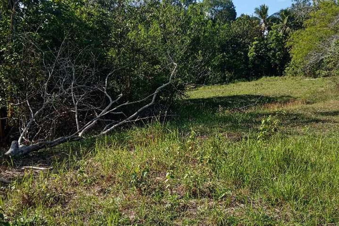 Land for Sale in Tagbitan-Ag, Samal, Davao del Norte – photo 2