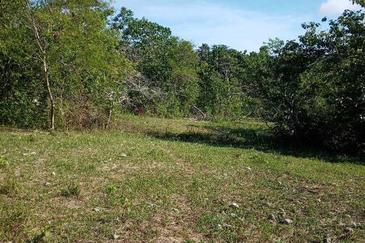 Land for Sale in Tagbitan-Ag, Samal, Davao del Norte – photo 3