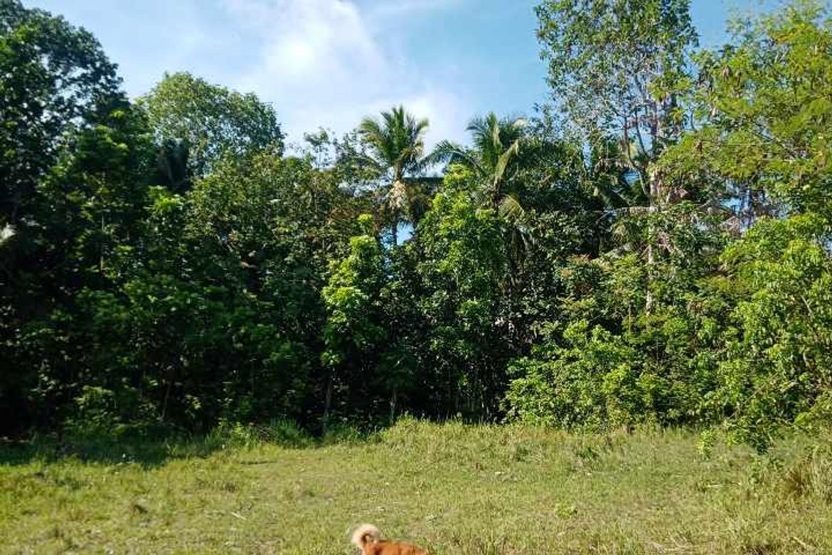 Land for Sale in Tagbitan-Ag, Samal, Davao del Norte – photo 4