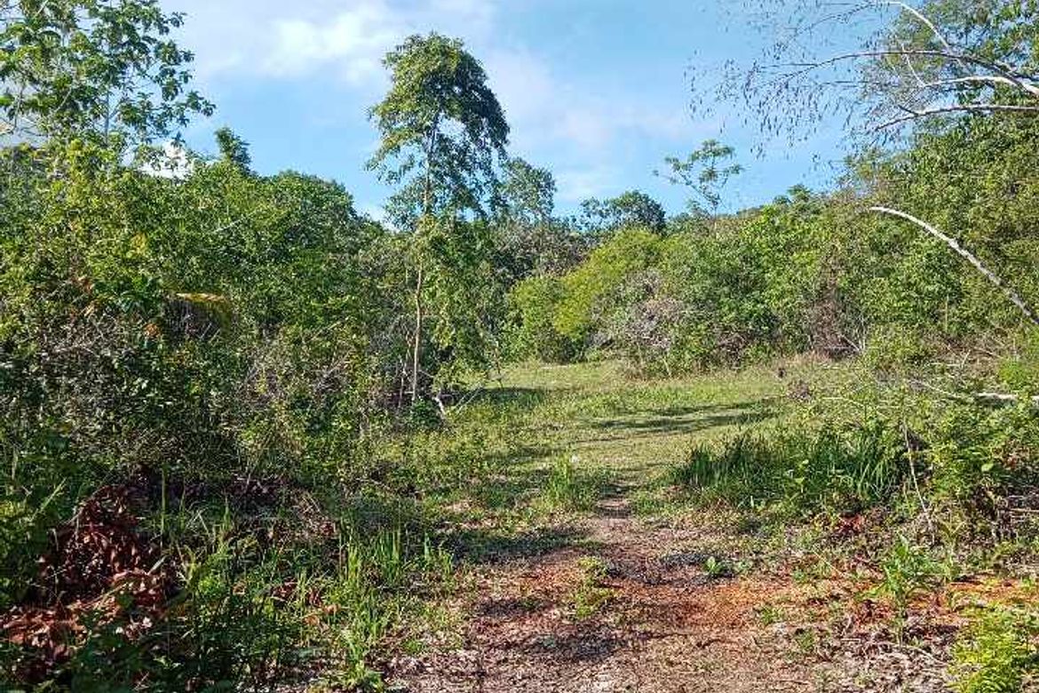 Land for Sale in Tagbitan-Ag, Samal, Davao del Norte – photo 6