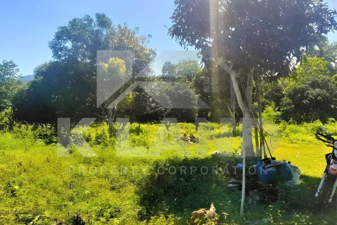 Land for Sale in Tagbitan-Ag, Samal, Davao del Norte – photo 2