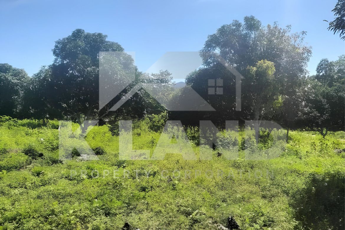 Land for Sale in Tagbitan-Ag, Samal, Davao del Norte – photo 3