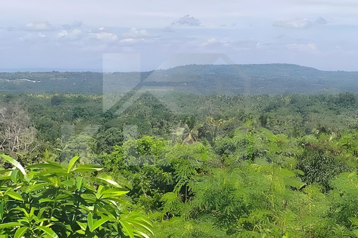 Land for Sale in Tagbitan-Ag, Samal, Davao del Norte – photo 4