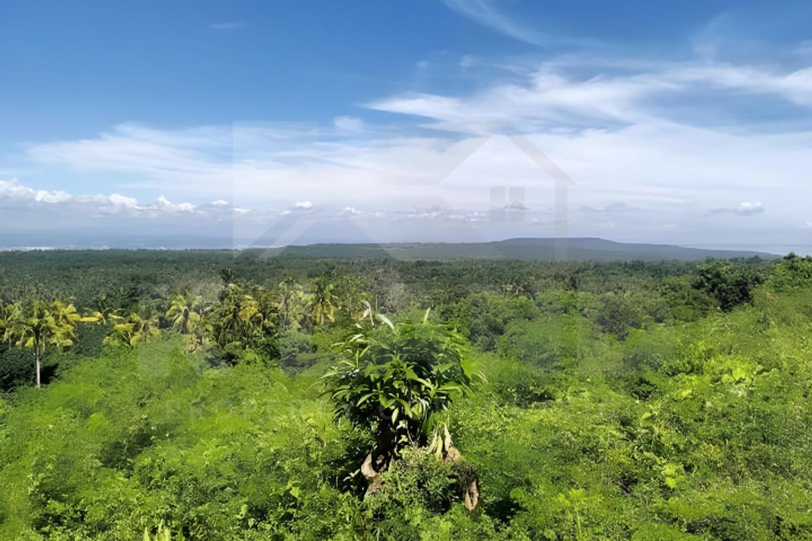 Land for Sale in Tagbitan-Ag, Samal, Davao del Norte – photo 5
