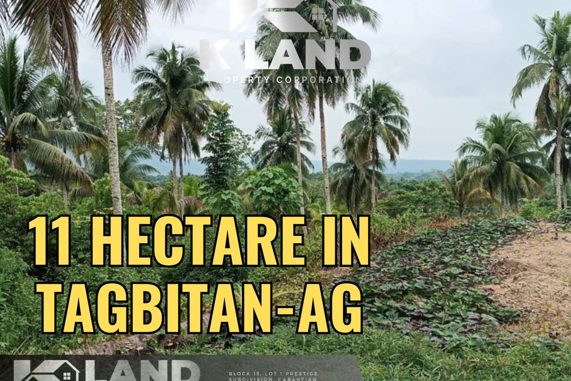 Land for Sale in Tagbitan-Ag, Samal, Davao del Norte