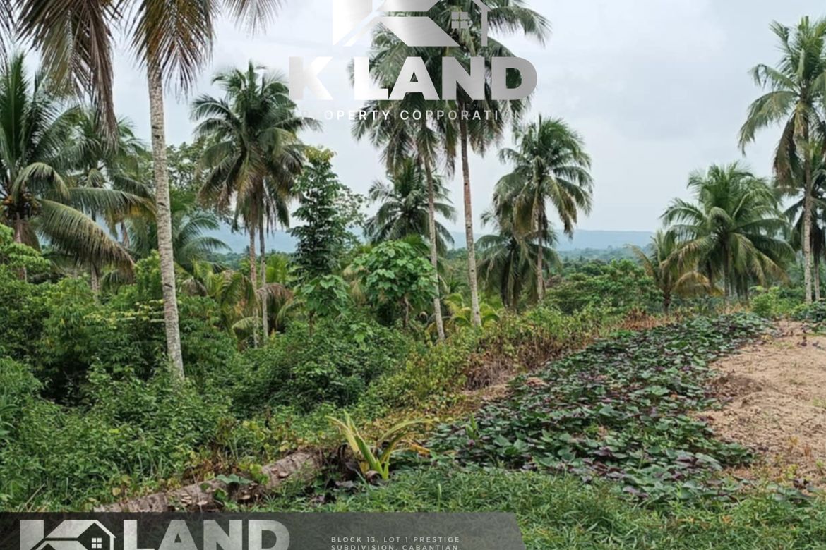 Land for Sale in Tagbitan-Ag, Samal, Davao del Norte – photo 2