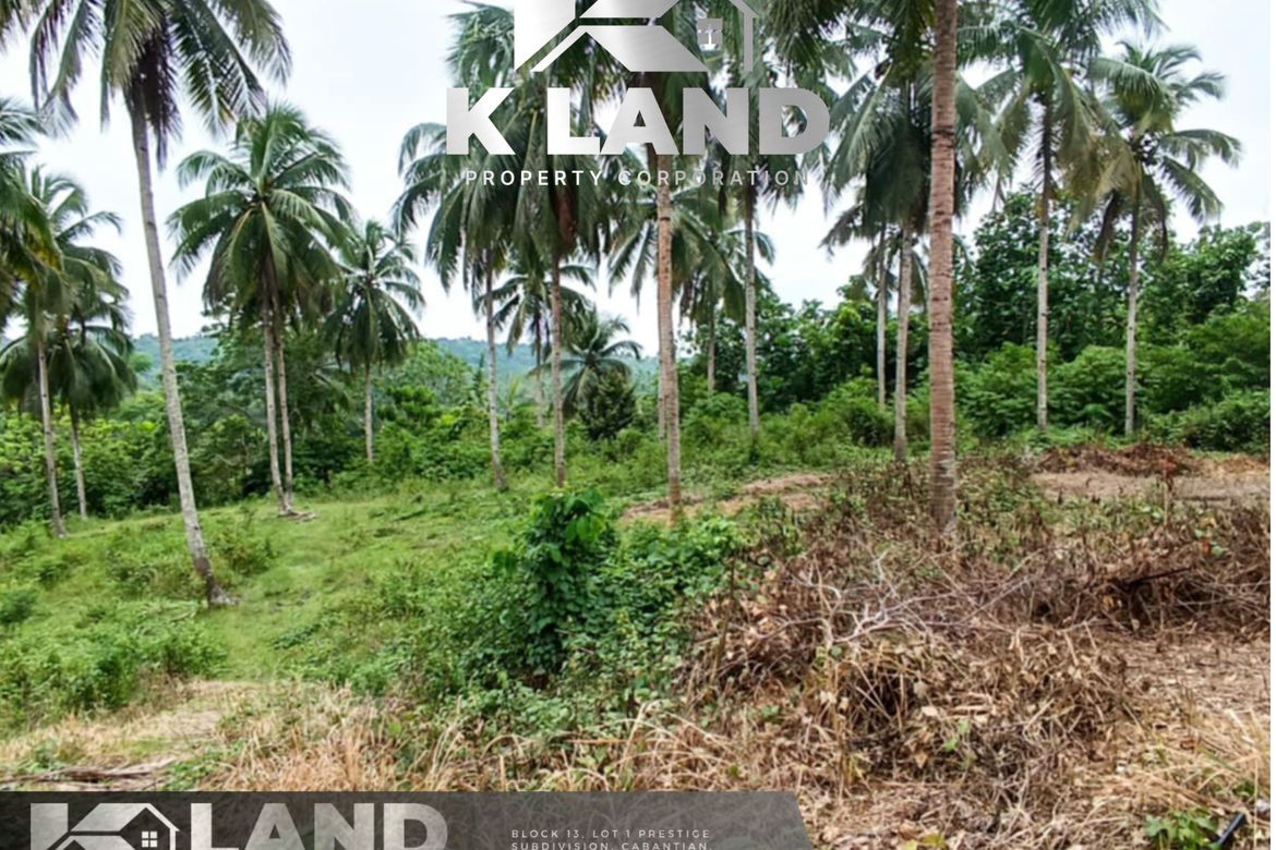 Land for Sale in Tagbitan-Ag, Samal, Davao del Norte – photo 3