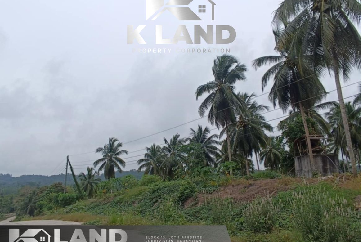 Land for Sale in Tagbitan-Ag, Samal, Davao del Norte – photo 5